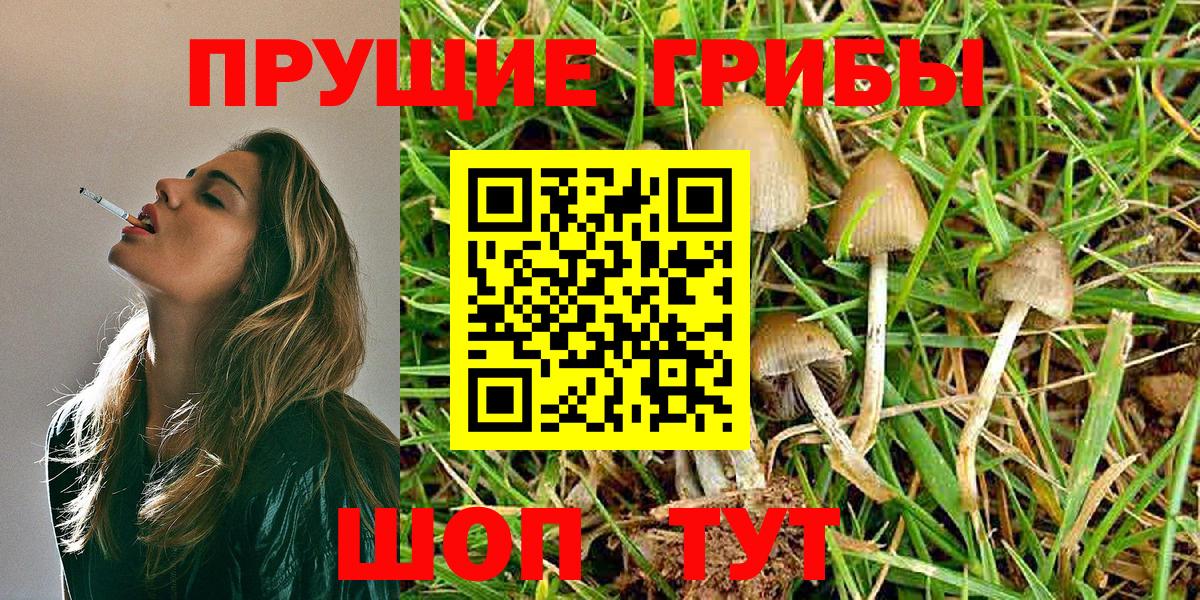 Туапсе  Псилоцибиновые грибы Magic Shrooms  Псилоцибиновые грибы ЛСД  Вход с VPN 